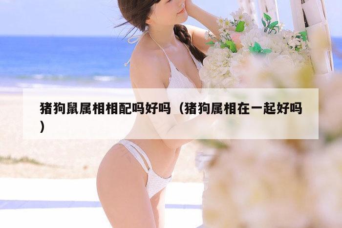 猪狗鼠属相相配吗好吗（猪狗属相在一起好吗）