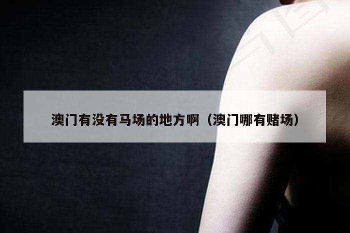 澳门有没有马场的地方啊（澳门哪有赌场）